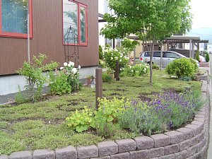 クリーピングタイム ワングリーン 外構 エクステリア から植栽 ハーブ 宿根草まで提案するお庭専門店 ガーデンデザイン ガーデンルーム 北海道札幌